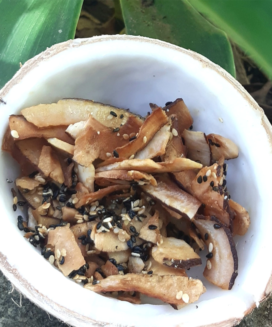 Coco em Lascas 130g